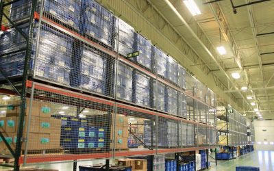 Heavy-Duty Storage Racks: Choosing the Right System for Safer, Smarter Storage