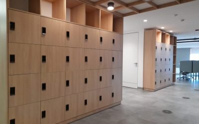 Role of Lockers in Modern Workplaces: Space & Security