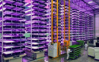 Optimizing Storage for Cannabis Cultivation and Vertical Farming